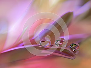 Beautiful flowers reflected in the water,artistic concept.Tranquil abstract closeup art photography.Floral fantasy design.