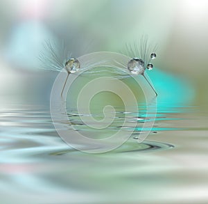 Beautiful flowers reflected in the water, spa concept.Tranquil abstract closeup art photography.Floral fantasy design.