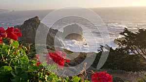 Beautiful flowers scenic landscapes of Big Sur coast of the pacific ocean with huge splash waves