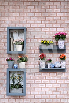 Beautiful flowers shelf on brick wall background