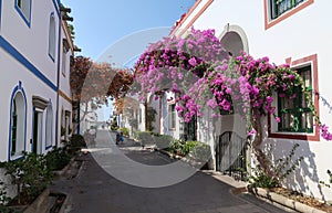 Beautiful flowers on the street of Puerto de Mogan, Gran Canaria. Canarian Islands. Spain