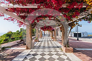 Beautiful flowers on streets in Maro near NErja,Spain