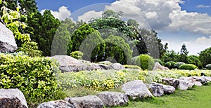 Beautiful flowers in the Suan Luang Rama 9 Public Park