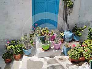 Beautiful flowers at a typical village house on the charming Greek island of Amorgos