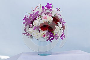 Flower in a Vase at white background