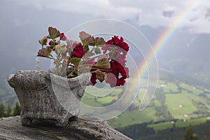 Beautiful flowers view into rainbow valley