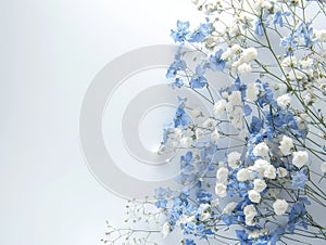 Beautiful flowers - white roses and blue cornflowers against light background