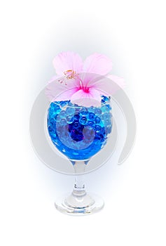 Beautiful flowers in wine glass with hydrogel isolated on white