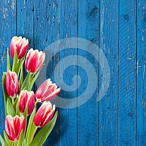 Beautiful Flowers on Wooden Background