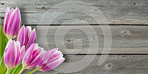 Beautiful Flowers on Wooden Background