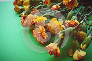 Beautiful flowers yellow red carnations