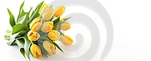 Beautiful flowers, yellow tulips, white background. Postcard template Women's Day, March 8, Nurse's Day