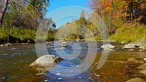 Beautiful flowing river water with riverside forest in autumn. Sunny riverbank trees with colored leaves along gentle canal