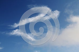 Beautiful fluffy clouds, blue sky like a dog graphic