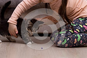 Beautiful fluffy kitten multicolor playing with baby on the floor