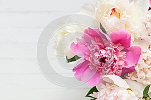 Beautiful Fluffy pink peonies flowers background. Copyspace