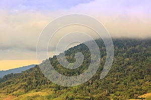 Beautiful fog and cloud on Khao Kho mountain.