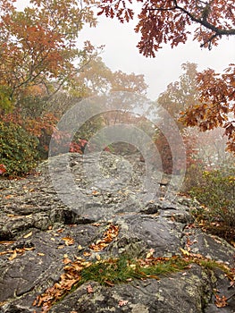 Beautiful Foggy Fall Weather Hiking the Appalachian Trail in the Nantahala National Forest