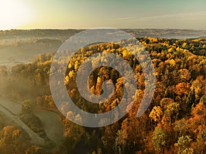 Beautiful foggy forest scene in autumn with orange and yellow foliage. Aerial early morning view of trees and river