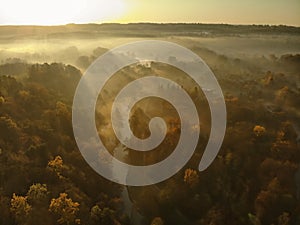 Beautiful foggy forest scene in autumn with orange and yellow foliage. Aerial early morning view of trees and river