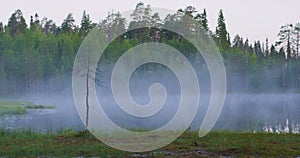 Beautiful foggy lake in lush finnish forest in the morning