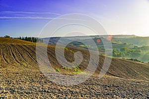 Fresh Green tuscany landscape at sunrise, vine region of Italy