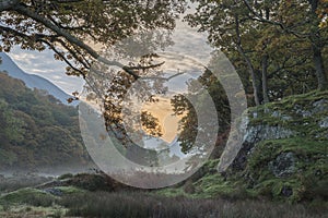 Beautiful foggy misty Autumn sunrise over countryside surrounding Crummock Water in Lake District in England