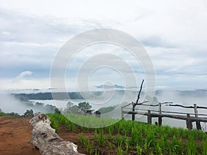 Beautiful foggy at rice fields, Thailand.