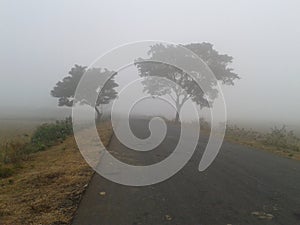 A beautiful foggy scenery in eastern ghats