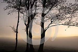 Beautiful foggy sunrise landscape over the tors in Dartmoor revealing peaks through the mist