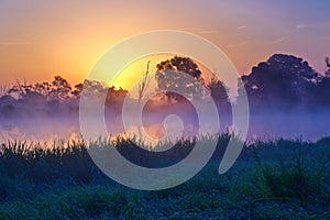 Beautiful foggy sunrise over the Narew river.