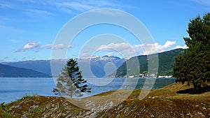 Beautiful footage of serene fjord and snow topped mountain landscape with blue water and sky. Pine tree and moss covered rock