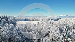 Beautiful footage of snow covered winter nature