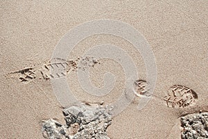 Beautiful footprints in the sand sea nature background