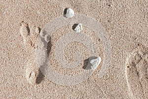 Beautiful footprints in the sand sea nature background