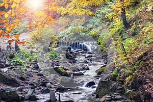 Beautiful forest with creek in autumn nature. Beauty world of fall colors landscape