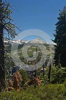 Beautiful Forest With Infinite Views To A Waterfall From One Of The Mountains Of Yosemite National Park. Nature Travel Holidays.