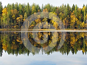 Beautiful forest lake