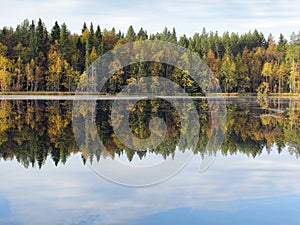 Beautiful forest lake