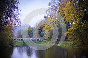 Beautiful Forest lake in autumn with reflection water