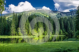 Beautiful forest lake and green trees around with mountains at background. Tarn Vrbicke pleso in Low Tatras mountains in Slovakia