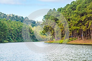 Beautiful forest lake , Mae Hong Son,Pang Ung, Thailand.