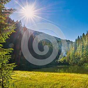 Beautiful forest lake in the mountains