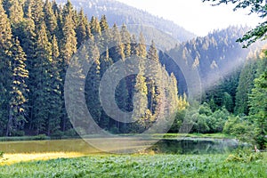 Beautiful forest lake in the mountains