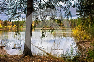 Beautiful forest lake old quarry rainy and gloomy autumn day