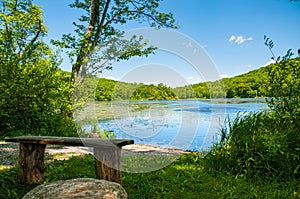 Beautiful forest landscape lake. Old bench on lake background