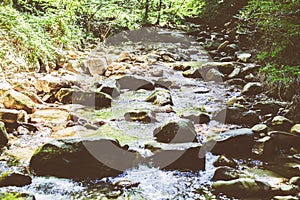 Beautiful Forest Landscape,  Stream Flowing Water, Mountain Creek, Summer Day In Nature