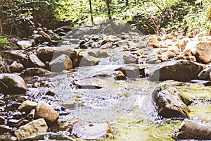 Beautiful Forest Landscape,  Stream Flowing Water, Mountain Creek, Summer Day In Nature