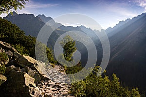 Beautiful forest mountain path in the morining