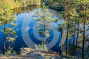 Beautiful forest pond view through trees